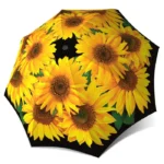 Original Sun Flowers Umbrella Online | Online Store Pk