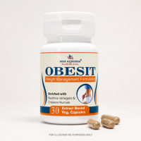 Obesit Capsule