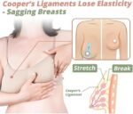 Breast Enhancement Patch for Growth & Firming  to Improve Sagging (1Box) - Image 2